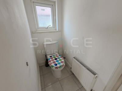 Picture 24